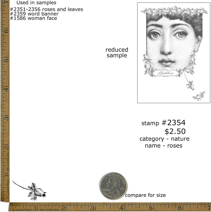 #2354 - Roses - Nature